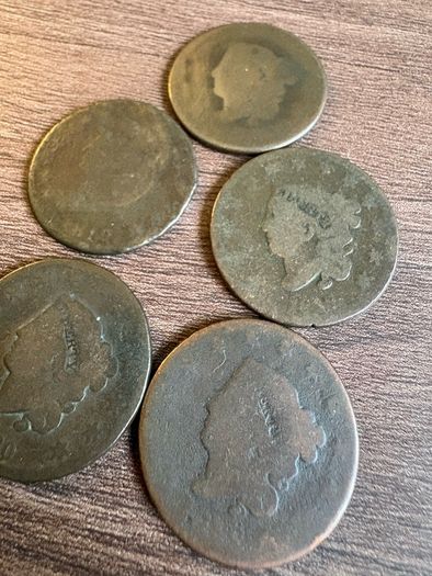 USA Large Cent 5 coin Lot