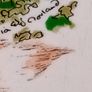 Carrigaline Wildlife Plates Image 5