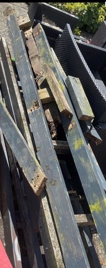 Wood firewood