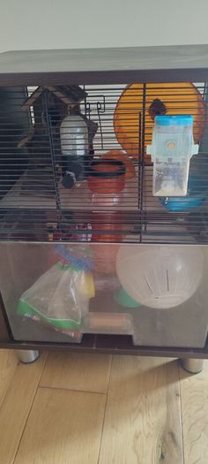 Hamster