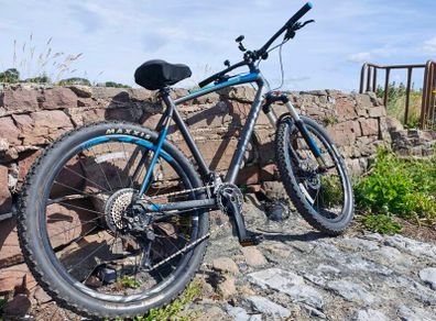 Giant Talon 1 2019