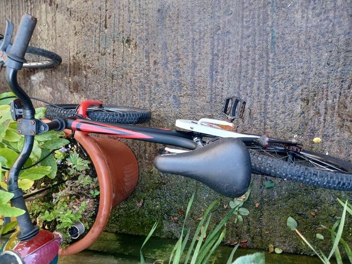 Chipmunk kids bike