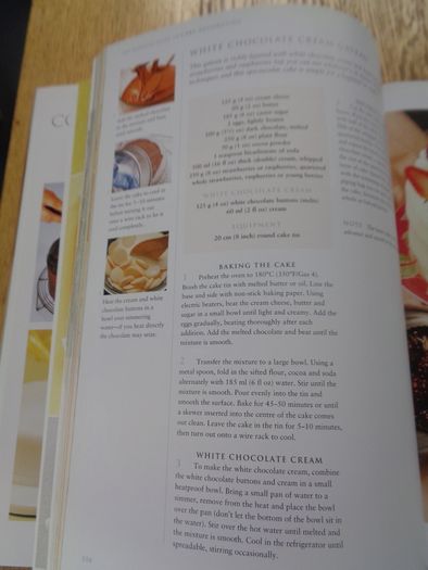 The Essential Guide To Cake Decorating Book for Sale
