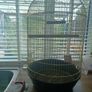 Bird cage Image 2