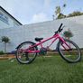 Frog bike Image 2