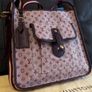 LOUIS VUITTON Monogram Mini Besace Mary Kate Bag Red Image 9