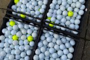20 Titleist (Prov1) Golf Balls