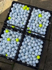 20 Titleist (Prov1) Golf Balls