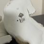 NAO by Lladro Image 3