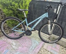 TREK Skye S Mountain Bike