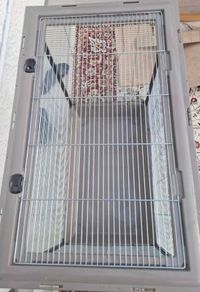 cage bird or other animal