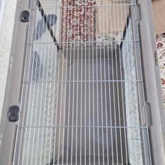 cage bird or other animal