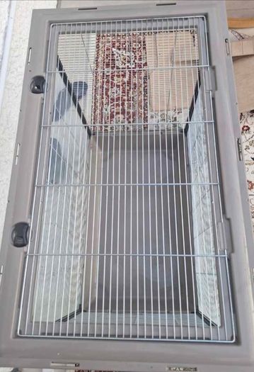 cage bird or other animal