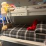 harvey norman bunk bed Image 3