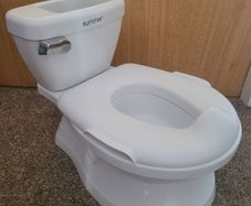 Ingenuity Potty Pro