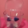 h20floss Oral Irrigator Image 8
