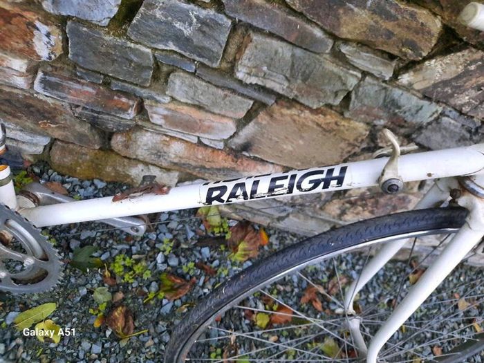 Raleigh flyer