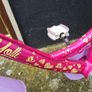 Girls Bike for Sale. Mint Condition.  Really good condition. Image 6