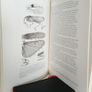 Phylogeny of the Orthopteroidea by A. G. Sharov. Translated from Russian (RB400) Image 4