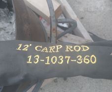 kennnets striker 12ft carp rod