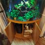 fish tank set up Image 3