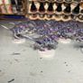 Tyranid Half of Leviathan Warhammer Image 7