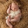 Newborn and Children's photography Image 2