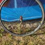 Fixie bike wheel set, lightweight. Image 9