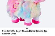 Dancing Lama