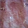 Miss Selfridge Coral/Peach Colour Sequined Bodice Lace Overlayered Skirt, Knee Length Dress Image 5