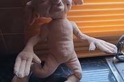 Talking Dobby plush