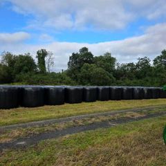 Silage bales