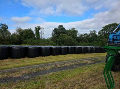Silage bales