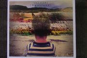 Villagers - Awayland CD