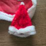 Christmas mini Santander outfit Image 3