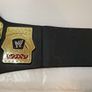 wwe Jakks specific Cruiser weight championship kids Foam title Image 5
