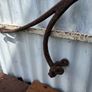 Antique cast iron horse trap springs Image 3