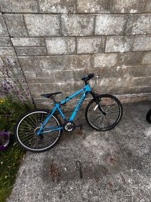 bikes