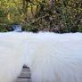 New Super Soft Genuine Sheepskin Rug Image 2