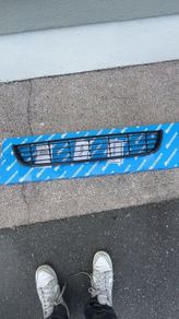 Bumper grille