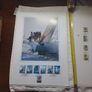 points art print stamps Image 5