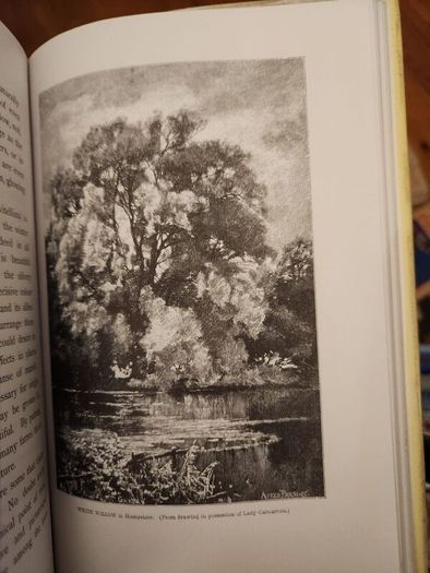 The Wild Garden. By William Robinson. Hardback With Dustjacket In Good Condition.