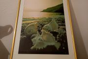 Vintage shell photography in brass frame