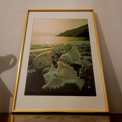 Vintage shell photography in brass frame