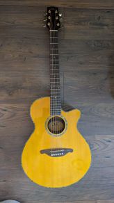 SX Electric Acoustic Guitar