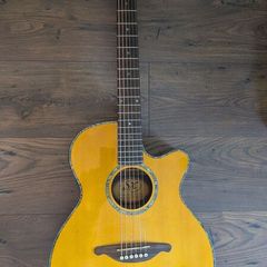 SE Electric Acoustic Guitar