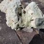 marine rocks Image 4