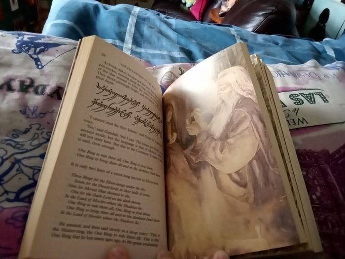 The Fellowship of the Ring with Illustrations