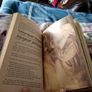 The Fellowship of the Ring with Illustrations Image 7