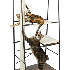 Cat Tree/Cat Tower
